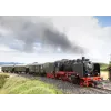 Märklin BR 24 höyryveturi 36244