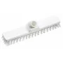 HAUG BÜRSTEN 8810 hankausharja, valkoinen polypropeeni, 280 mm leveä, keskikokoiset polyesteriharjakset