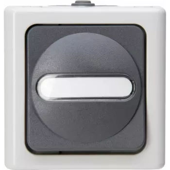 HEINRICH KOPP yleiskytkin BLUE ELECTRIC harmaa pinta-asennus kosteantila 10A, 250V (560656006)