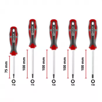 Einhell universaali Torx-ruuvitalttasarja T10-T30, 5 osaa, magneettiset kärjet, kromi-vanadiiniteräs, ergonomiset bi-materiaalikahvat, korjaamo & tee-se-itse 370537