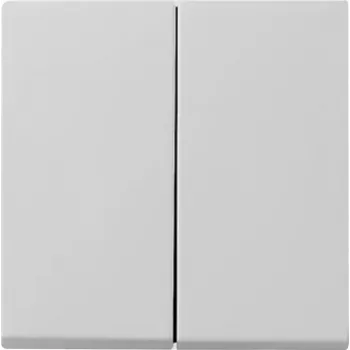 Gira System 55 2-kertainen keinukytkinkansi, harmaa 0295015