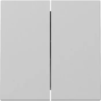 Gira System 55 keinupainike 2-kertainen harmaa matta 3295015