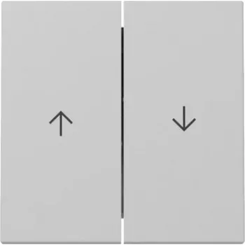 GIRA keinupainike 3294015 2-kanavainen nuoli System 55 harmaa matta