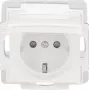 Busch-Jaeger 2CKA002013A5446 SCHUKO-pistorasian kojeosa 20 EUCKBD-914