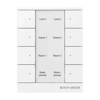 Busch-Jaeger free@home käyttöelementti, alppivalkoinen, 2-osainen 2CKA006220A0886