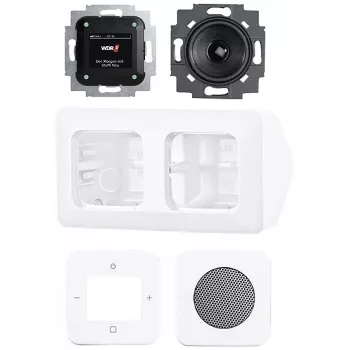 Busch-Jaeger Busch-Radio DAB+ täydellinen sarja kulma-asennukseen 8250 AJ-214-101 studiovalkoinen 2CKA008200A0235