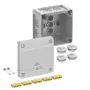 Spelsberg Abox Pro 040-2,5² IP66 haararasian kotelo, 5-napainen, harmaa 40243001
