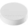 Magnetoplan Ergo-magneetit medium valkoinen ferriittimagneetti, 30 mm, 1 kpl 1664000