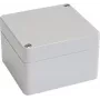Bopla EUROMAS T 206 63206000 yleiskotelo, 65 x 50 x 37 mm, ABS, vaaleanharmaa