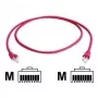 Telegärtner CAT 6A S/FTP crossover-verkkokaapeli RJ45 5 m punainen LSZH L00003A0078
