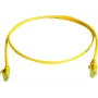 Telegärtner Cat6 U/UTP RJ45 -verkkokaapeli, 2 m, harmaa L00001A0236