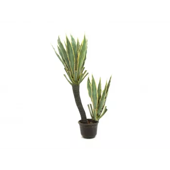 EUROPALMS orkideakaktus tekokasvi, 160 cm 82809035