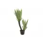EUROPALMS orkideakaktus tekokasvi, 160 cm 82809035