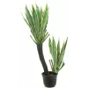 EUROPALMS orkideakaktus tekokasvi, 160 cm 82809035