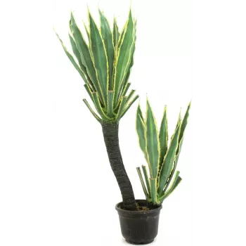 EUROPALMS orkideakaktus tekokasvi, 160 cm 82809035