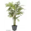 EUROPALMS Cycas-palmu tekokasvi, 280 cm 82511360
