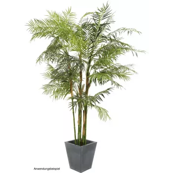 EUROPALMS Cycas-palmu tekokasvi, 280 cm 82511360