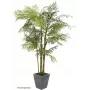 EUROPALMS Cycas-palmu tekokasvi, 280 cm 82511360