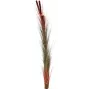 EUROPALMS tekokaisla tähkillä, vaaleanruskea, 152 cm 82505856