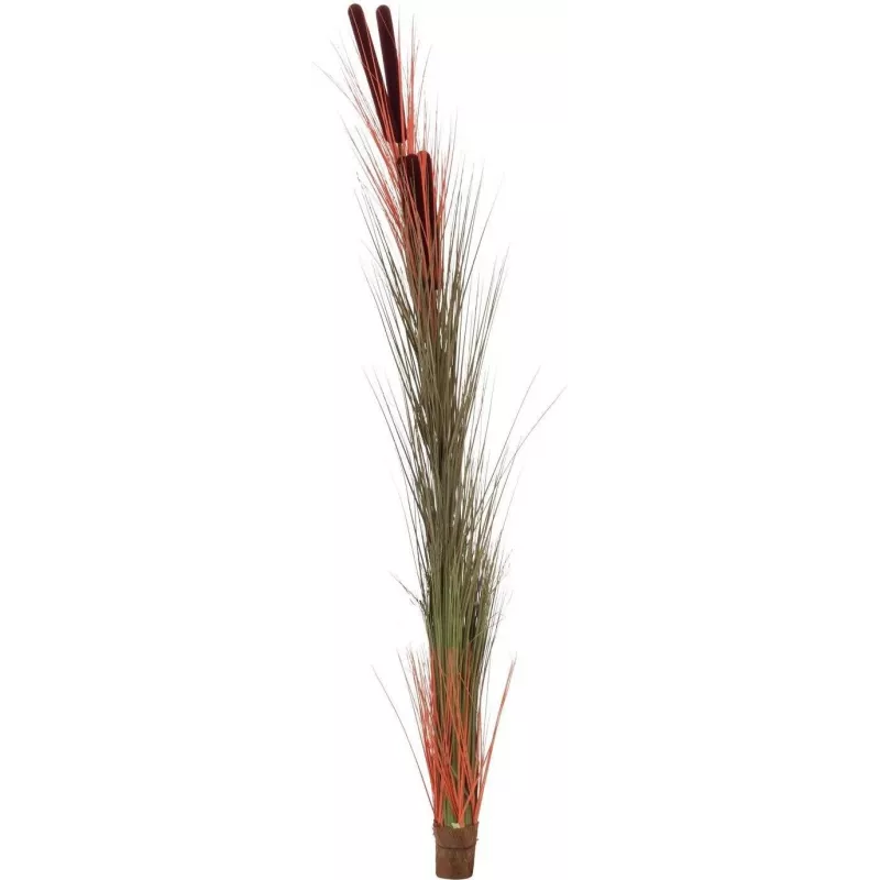 EUROPALMS tekokaisla tähkillä, vaaleanruskea, 152 cm 82505856