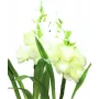 EUROPALMS Aronstab, 3 kpl:n sarja LED-valoilla, valkoinen, 85 cm (83330302)