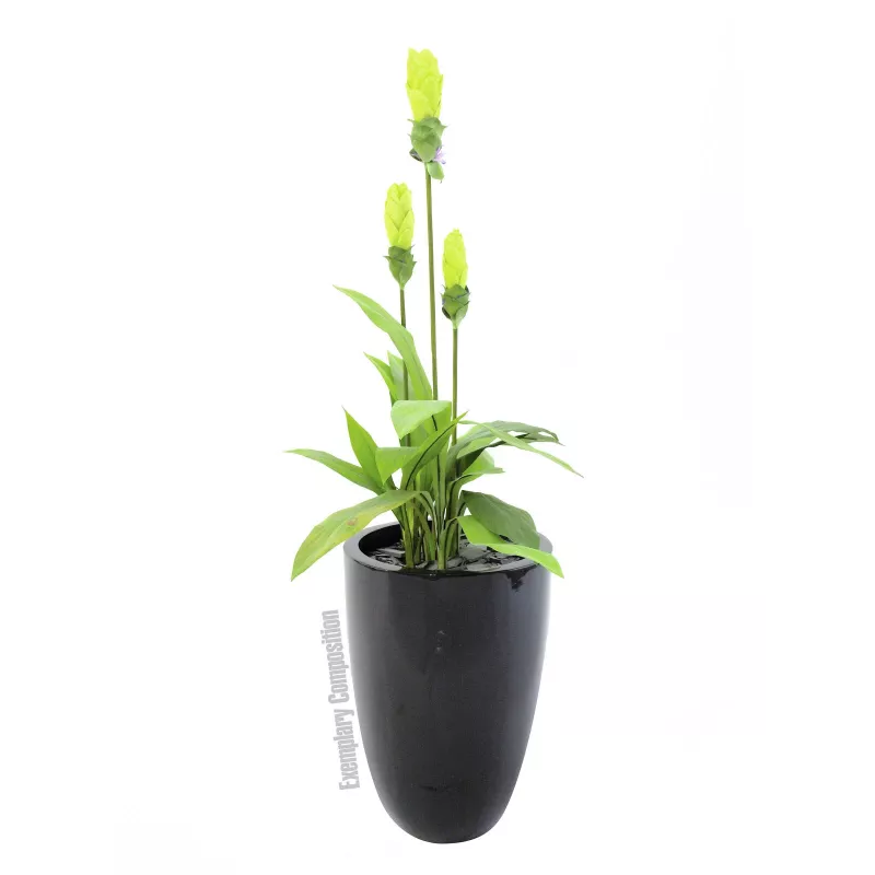 Europalms LEICHTSIN CUP-69 istutusastia, musta, kiiltävä (83011819)