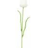 EUROPALMS Crystal Tulip tekokukka, valkoinen, 61 cm, 12 kpl:n pakkaus (82600204)
