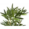 EUROPALMS tekobambu koristeellisessa maljakossa, 150 cm 82509262