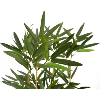 EUROPALMS tekobambu koristeellisessa maljakossa, 150 cm 82509262