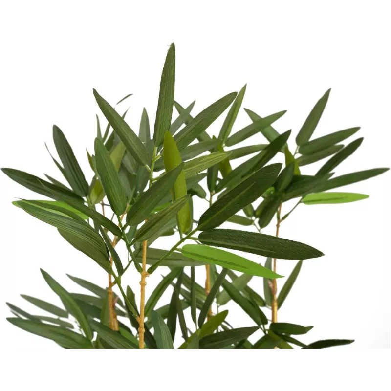 EUROPALMS tekobambu koristeellisessa maljakossa, 150 cm 82509262