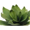 EUROPALMS agaave tekokasvi, EVA, vihreä, 35 cm 82530576