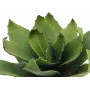 EUROPALMS agaave tekokasvi, EVA, vihreä, 35 cm 82530576