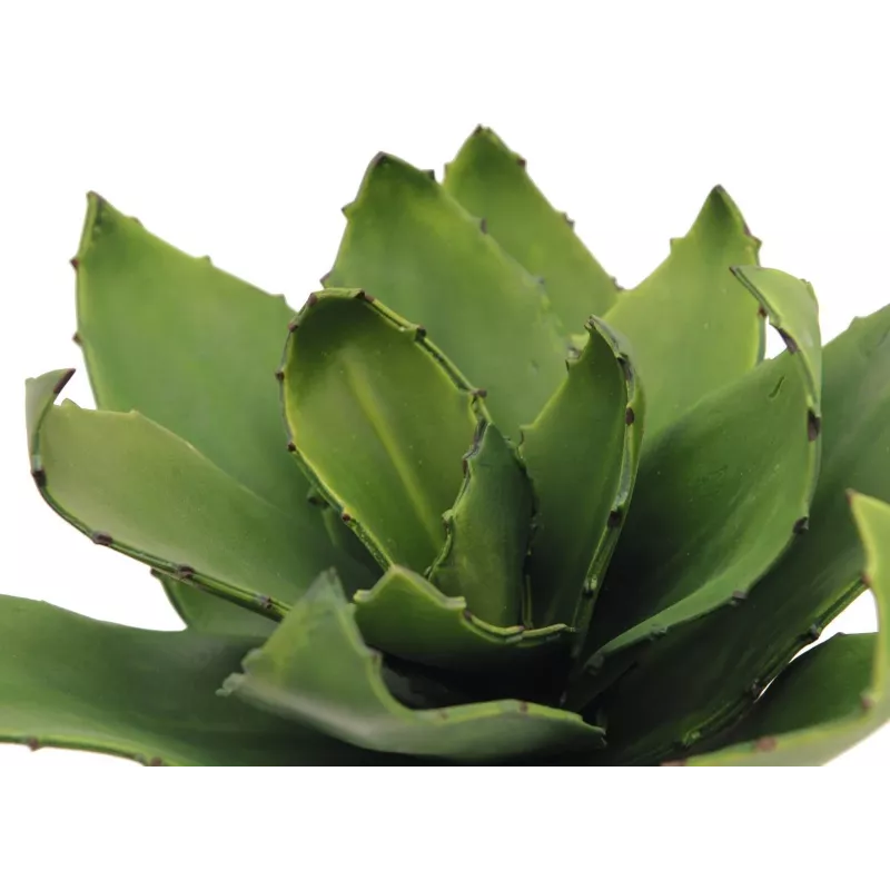 EUROPALMS agaave tekokasvi, EVA, vihreä, 35 cm 82530576