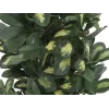 EUROPALMS schefflera tekokasvi, 120 cm, vihreä 82600157