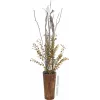 EUROPALMS keinotekoinen eukalyptusoksa, keltavihreä, 110 cm 82505622