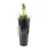 EUROPALMS Leichtsinn Elegance-110 koristehahmo, musta kiiltävä 83011864