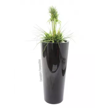 EUROPALMS Leichtsinn Elegance-110 koristehahmo, musta kiiltävä 83011864