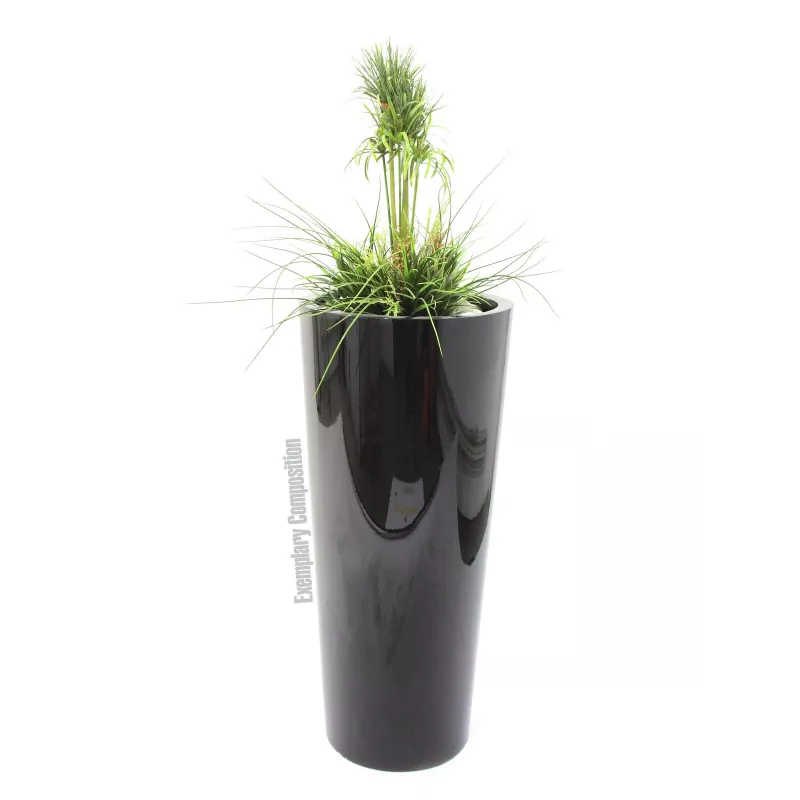 EUROPALMS Leichtsinn Elegance-110 koristehahmo, musta kiiltävä 83011864