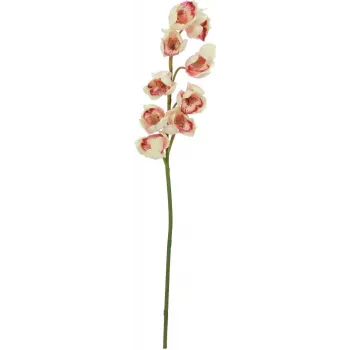 EUROPALMS keinotekoinen cymbidium-oksa, kerma-vaaleanpunainen, 90 cm 82530311