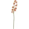 EUROPALMS keinotekoinen cymbidium-oksa, kerma-vaaleanpunainen, 90 cm 82530311