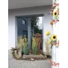 EUROPALMS keinotekoinen ruohopensaikko, 150 cm, vihreä, sisustuskoriste 82600127