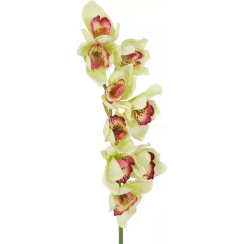 EUROPALMS keinotekoinen cymbidium-orkideaoksa, vihreä, 90 cm 82530313