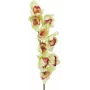 EUROPALMS keinotekoinen cymbidium-orkideaoksa, vihreä, 90 cm 82530313
