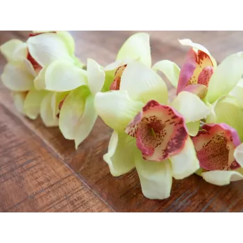 EUROPALMS keinotekoinen cymbidium-orkideaoksa, vihreä, 90 cm 82530313