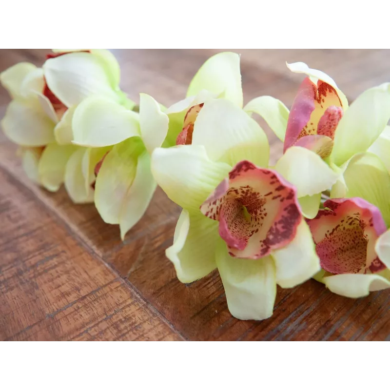 EUROPALMS keinotekoinen cymbidium-orkideaoksa, vihreä, 90 cm 82530313
