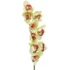 EUROPALMS keinotekoinen cymbidium-orkideaoksa, vihreä, 90 cm 82530313