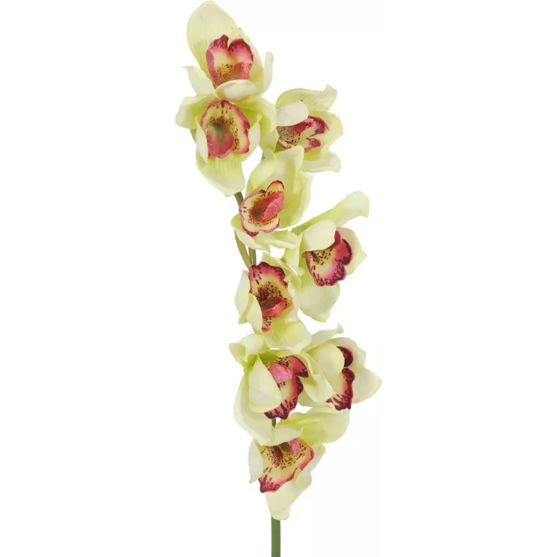 EUROPALMS keinotekoinen cymbidium-orkideaoksa, vihreä, 90 cm 82530313