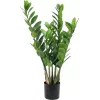 EUROPALMS Zamifolia tekokasvi ZZ-kasvi, 70 cm, musta ruukku 82600153