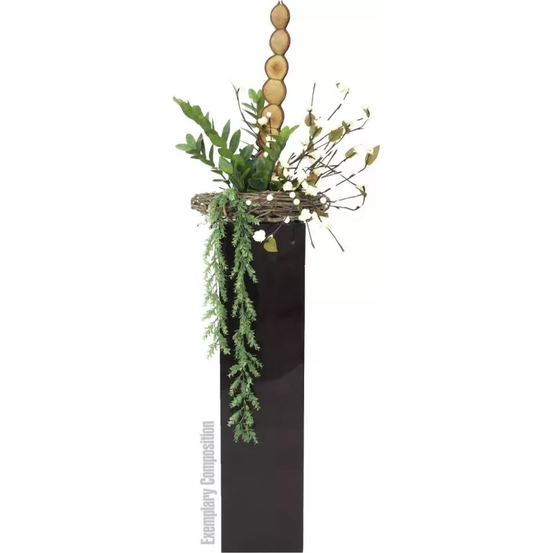 EUROPALMS Zamifolia tekokasvi ZZ-kasvi, 70 cm, musta ruukku 82600153