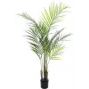 EUROPALMS Areca-palmu tekokasvi, 125 cm 82509440